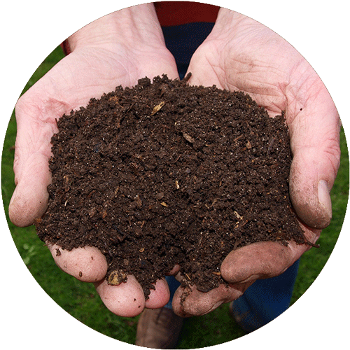 Two hands holding soil and compost.